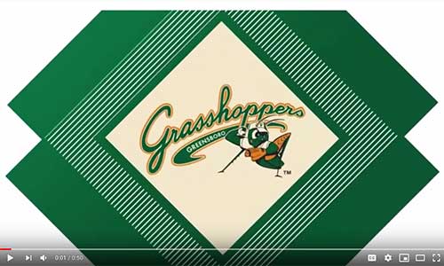 Greensboro Grasshoppers Bikes for Kids Foundation